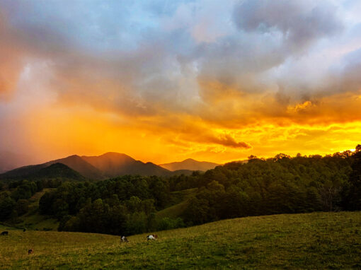 Why a Rural Tech Hub in Sandy Mush Can Benefit Our Local Community